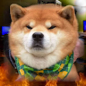 Meet your Posher, Wilson